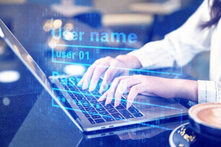 fire fly(歌词的中文翻译)